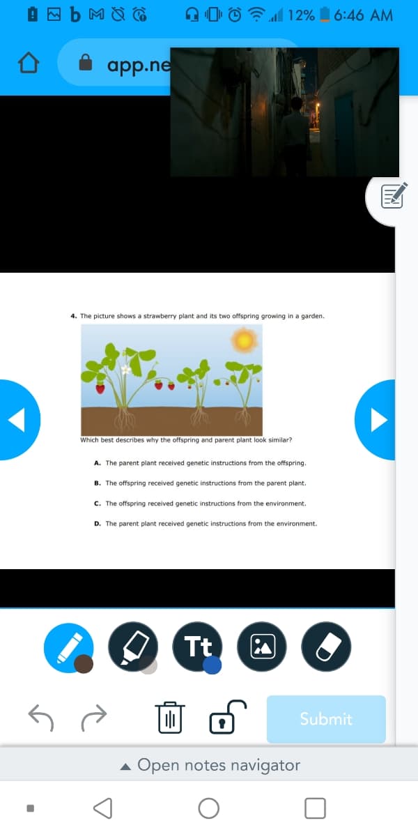 A 0 © 12% 6:46 AM
app.ne
4. The picture shows a strawberry plant and its two offspring growing in a garden.
Which best describes why the offspring and parent plant look similar?
A. The parent plant received genetic instructions from the offspring.
B. The offspring received genetic instructions from the parent plant.
C. The offspring received genetic instructions from the environment.
D. The parent plant received genetic instructions from the environment.
Tt
Submit
Open notes navigator
