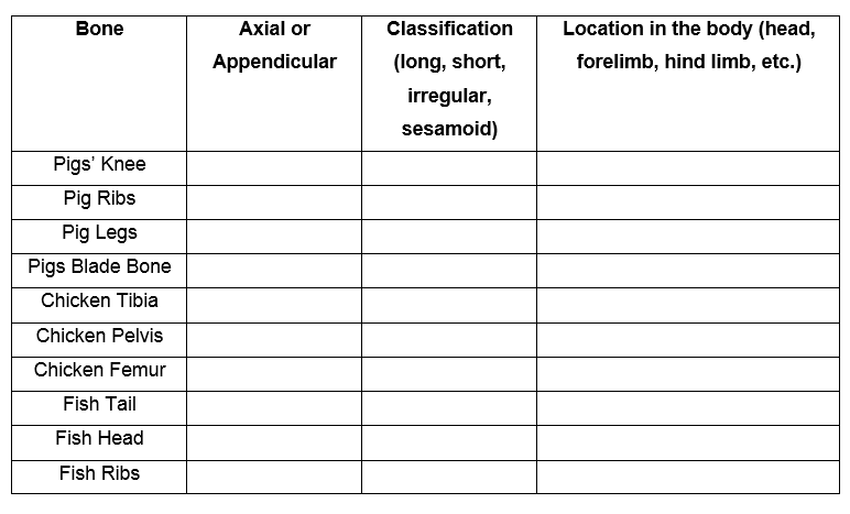 Bone
Axial or
Classification
Location in the body (head,
Appendicular
(long, short,
forelimb, hind limb, etc.)
irregular,
sesamoid)
Pigs' Knee
Pig Ribs
Pig Legs
Pigs Blade Bone
Chicken Tibia
Chicken Pelvis
Chicken Femur
Fish Tail
Fish Head
Fish Ribs
