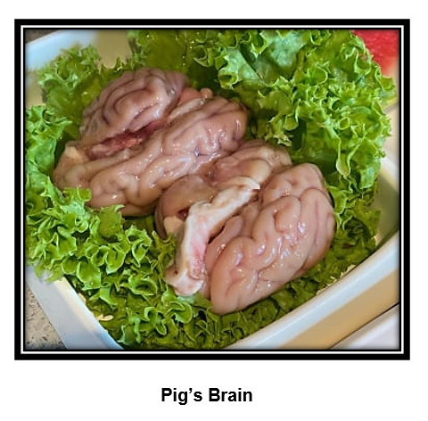 Pig's Brain
