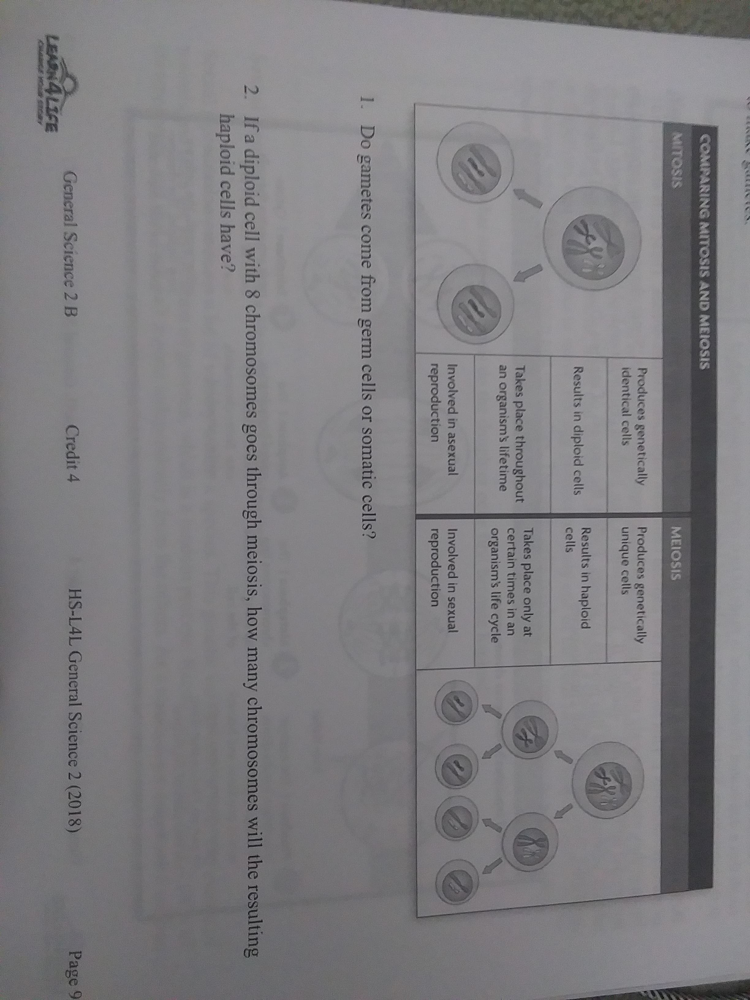 reproduction
reproduction
1. Do gametes come from germ cells or somatic cells?
2. If a diploid cell with 8 chromosomes goes through meiosis, how many chromosomes will the resulting
haploid cells have?
