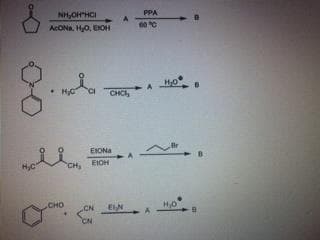H₂C
NH,OHTHCI
ACON, H₂O, EXCH
CHO
CH₂
A
CHC
EXONA
EICH
CN EIN
CN
PPA
60 °C
H₂O