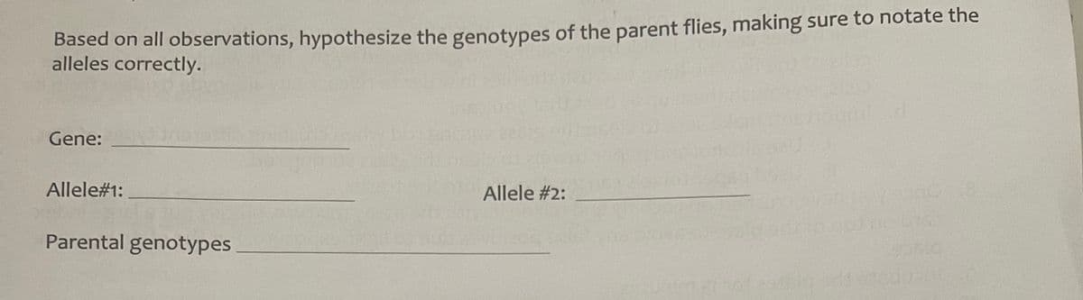 Based on all observations, hypothesize the genotypes of the parent flies, making sure to notate the
alleles correctly.
Gene:
Allele#1:
Parental genotypes
Allele #2:
sig