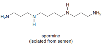 н
.N.
NH2
H2N
spermine
(isolated from semen)
Zーエ
