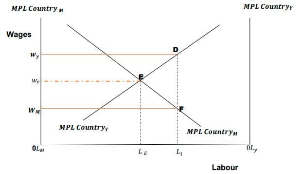 MPL Countryy
MPL Country M
Wages
D
Wy
We
W M
MPL Countryy
MPL CountryM
OLy
OLM
LE
Labour
