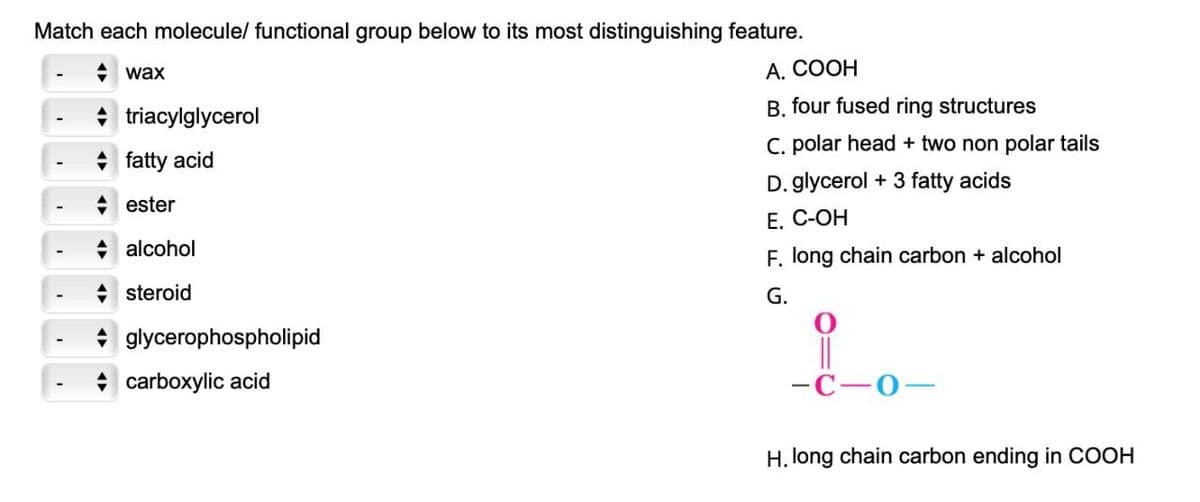 Match each molecule/ functional group below to its most distinguishing feature.
+ wax
A. COOH
B. four fused ring structures
* triacylglycerol
C. polar head + two non polar tails
+ fatty acid
D. glycerol + 3 fatty acids
+ ester
Е. С-ОН
+ alcohol
F. long chain carbon + alcohol
+ steroid
G.
* glycerophospholipid
||
— С-0-
+ carboxylic acid
H. long chain carbon ending in COOH
