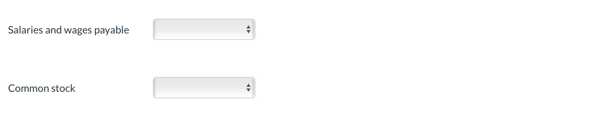 Salaries and wages payable
Common stock

