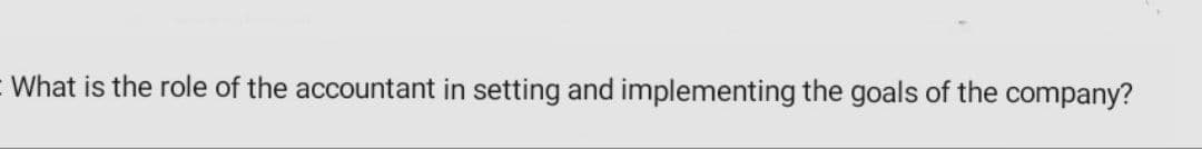 E What is the role of the accountant in setting and implementing the goals of the company?
