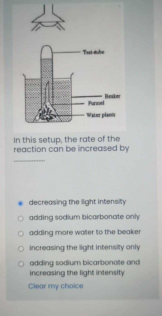 Test-tube
Beaker
Funnel
Water plants
In this setup, the rate of the
reaction can be increased by
o decreasing the light intensity
O adding sodium bicarbonate only
O adding more water to the beaker
O increasing the light intensity only
O adding sodium bicarbonate and
increasing the light intensity
Clear my choice
