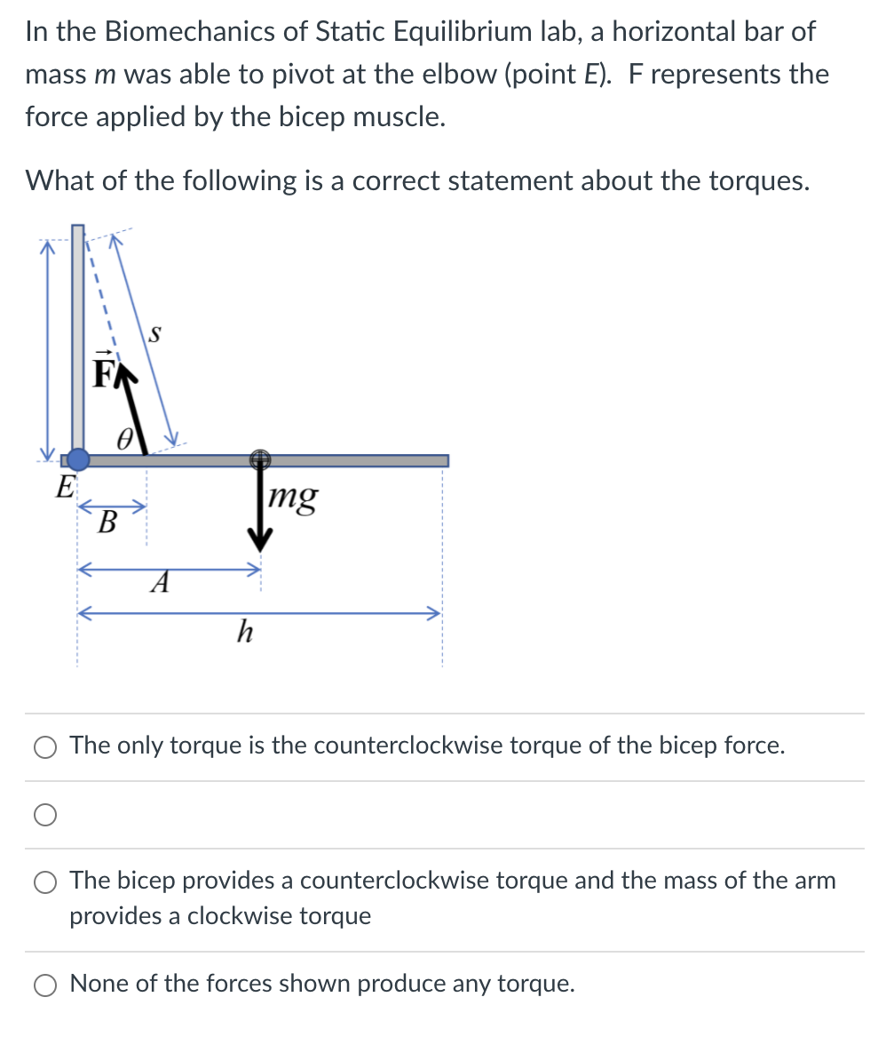 In the Biomechanics of Static Equilibrium lab, a horizontal bar of
mass m was able to pivot at the elbow (point E). F represents the
force applied by the bicep muscle.
What of the following is a correct statement about the torques.
S
FN
E
mg
A
h
The only torque is the counterclockwise torque of the bicep force.
The bicep provides a counterclockwise torque and the mass of the arm
provides a clockwise torque
O None of the forces shown produce any torque.
