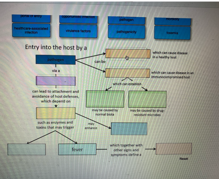 portal of entry
opportunistic Infection
morbidity
pathogen
healthcare-associated
infection
virulence factors
pathogenicity
toxemia
Entry into the host by a
which can cause disease
in a healthy host
pathogen
can be
via a
which can cause disease in an
immunocompromised host
which can establish
can lead to attachment and
avoidance of host defenses,
which depend on
may be caused by
normal biota
may be caused by drug-
resistant microbes
such as enzymes and
toxins that may trigger
may
enhance
which together with
fever
other signs and
symptoms define a
Reset
