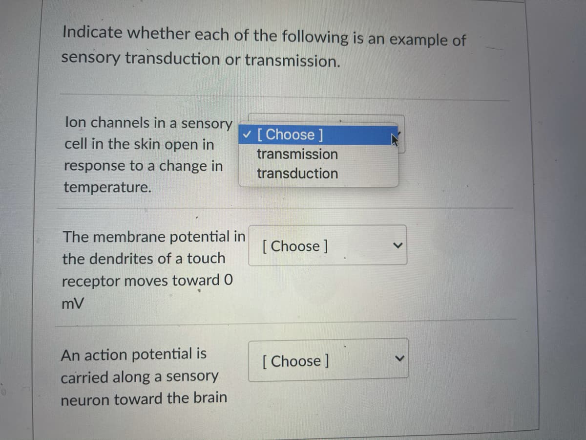 Indicate whether each of the following is an example of
sensory transduction or transmission.
lon channels in a sensory
v [ Choose ]
cell in the skin open in
transmission
response to a change in
transduction
temperature.
The membrane potential in
[ Choose ]
the dendrites of a touch
receptor moves toward 0
mV
An action potential is
[ Choose ]
carried along a sensory
neuron toward the brain
