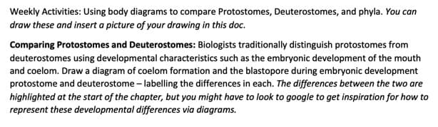 Weekly Activities: Using body diagrams to compare Protostomes, Deuterostomes, and phyla. You can
draw these and insert a picture of your drawing in this doc.
Comparing Protostomes and Deuterostomes: Biologists traditionally distinguish protostomes from
deuterostomes using developmental characteristics such as the embryonic development of the mouth
and coelom. Draw a diagram of coelom formation and the blastopore during embryonic development
protostome and deuterostome – labelling the differences in each. The differences between the two are
highlighted at the start of the chapter, but you might have to look to google to get inspiration for how to
represent these developmental differences via diagrams.
