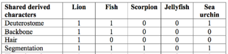 Shared derived
characters
Deuterostome
Lion
Fish
Scorpion Jellyfish
Sea
urchin
1
1
1
Backbone
Нair
|Segmentation
1
1
1
1
1
1
1
