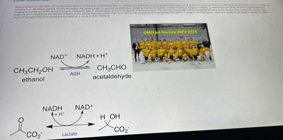 Question Com
Several players on the GMU Ice Hockey team elect to hit the pub immediately after an intense and strenuous practice session involving a lot of anaerobic excercise. Without ordering food, they each consume 8 shots of
whiskey in a -90 minute period. Shortly thereafter the players begin to experience shakiness, sweating, headache, nausea, uneven heartbeat, fatigue, irritability, problems concentrating, dizziness, lightheadedness,
tingling or numbness of the lips and tongue, confusion, loss of coordination, and slurred speech with blurry vision. The next day they brush it off as symptoms of being drunk. On the other hand, their hockey coach
knows that to metabolize the ethanol present in the whisky they consumed, their liver utilizes the enzyme alcohol dehydrogenase (ADH). In addition to intoxication, coach also suspects the player's symptoms reflect a
state of hypoglycemia (low blood glucose level) as a result of their imbibing.
NAD+
NADH + H+
CH3CH2OH
ethanol
ADH
CH3CHO
acetaldehyde
NADH
A+ H+
CO2
Lactate
NAD+
HOH
✗CO2
GMU Ice Hockey 2023-2024
MASON