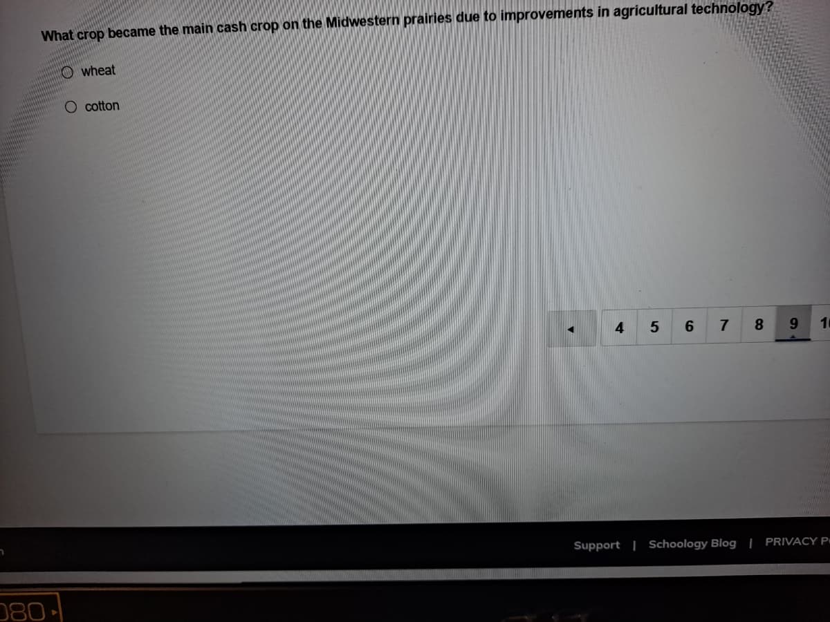 What crop became the main cash crop on the Midwestern prairies due to improvements in agricultural technology?
O wheat
O cotton
4
7
8.
9.
Support | Schoology Blog | PRIVACY P#
080 -
