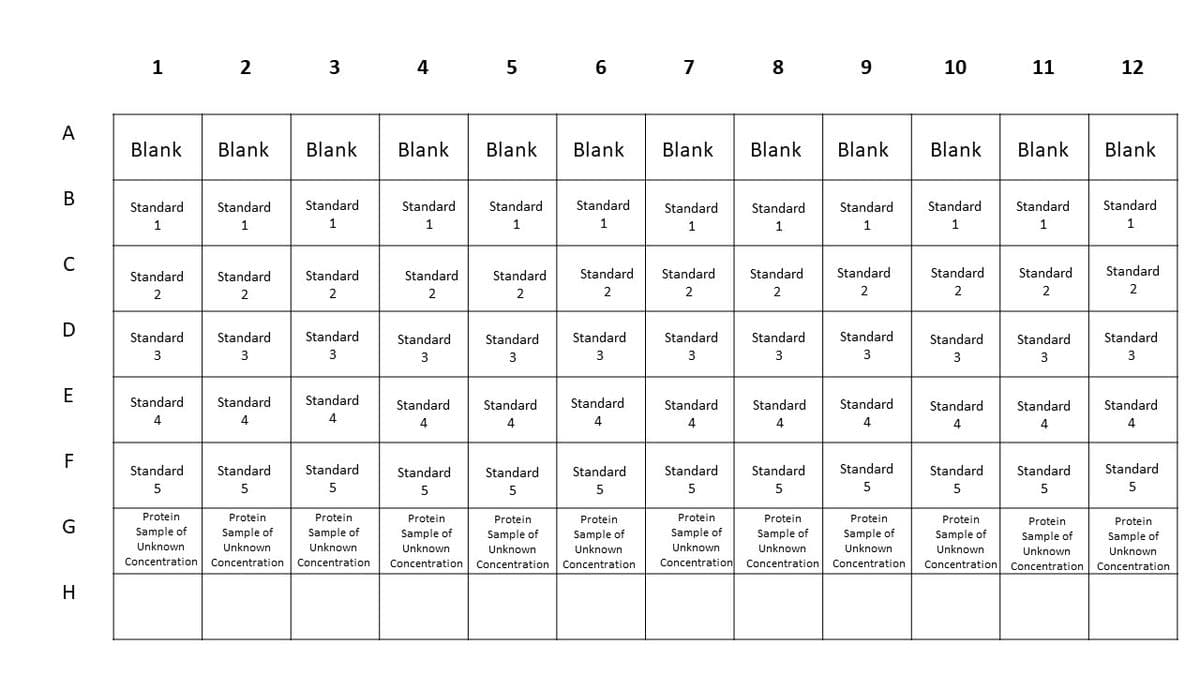 A
B
C
D
E
F
G
H
1
Blank
Standard
1
Standard
2
Standard
3
Standard
4
Standard
5
2
Blank
Standard
1
Standard
2
Standard
3
Standard
4
Standard
5
3
Blank
Standard
1
Standard
2
Standard
3
Standard
4
Standard
5
Protein
Protein
Protein
Sample of
Sample of Sample of
Unknown
Unknown
Unknown
Concentration Concentration Concentration
4
Blank Blank
Standard
1
Standard
2
Standard
3
Standard
4
Standard
5
5
Protein
Sample of
Unknown
Concentration
Standard
1
Standard
2
Standard
3
Standard
4
Standard
5
6
Blank Blank Blank
Standard Standard
1
1
Standard
2
Standard
3
7
Standard
4
Standard
5
Standard
2
Standard
3
Standard
4
8
Standard
5
Standard
1
Standard
2
Standard
3
Standard
4
Standard
5
9
Blank
Standard
1
Standard
2
Standard
3
Standard
4
Standard
5
Protein
Sample of
Protein
Sample of
Unknown
Protein
Sample of
Unknown
Protein
Sample of
Unknown
Protein
Sample of
Unknown
Unknown
Concentration
Concentration Concentration Concentration Concentration Concentration
10
Blank
Standard
1
Standard
2
Standard
3
Standard
4
Standard
5
11
Blank
Standard
1
Standard
2
Standard
3
Standard
4
Standard
5
Protein
Sample of
Unknown
Protein
Sample of
Unknown
Concentration Concentration
12
Blank
Standard
1
Standard
2
Standard
3
Standard
4
Standard
5
Protein
Sample of
Unknown
Concentration