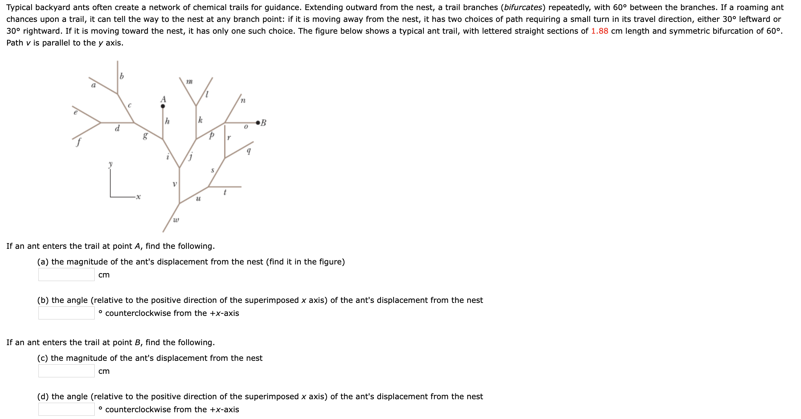 Typical backyard ants often create a network of chemical trails for guidance. Extending outward from the nest, a trail branches (bifurcates) repeatedly, with 60° between the branches. If a roaming ant
chances upon a trail, it can tell the way to the nest at any branch point: if it is moving away from the nest, it has two choices of path requiring a small turn in its travel direction, either 30° leftward or
30° rightward. If it is moving toward the nest, it has only one such choice. The figure below shows a typical ant trail, with lettered straight sections of 1.88 cm length and symmetric bifurcation of 60°.
Path v is parallel to the y axis.
т
п
B
d.
If an ant enters the trail at point A, find the following.
(a) the magnitude of the ant's displacement from the nest (find it in the figure)
cm
(b) the angle (relative to the positive direction of the superimposed x axis) of the ant's displacement from the nest
° counterclockwise from the +x-axis
If an ant enters the trail at point B, find the following.
(c) the magnitude of the ant's displacement from the nest
cm
(d) the angle (relative to the positive direction of the superimposed x axis) of the ant's displacement from the nest
° counterclockwise from the +x-axis
