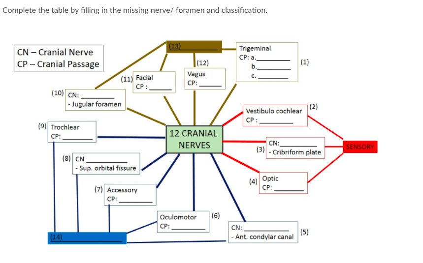 Complete the table by filling in the missing nerve/ foramen and classification.
(13)
Trigeminal
CP: a.
CN – Cranial Nerve
CP – Cranial Passage
|(12)
(1)
b.
Vagus
(11) Facial
CP:-
C.
CP:
(10) CN:
- Jugular foramen
Vestibulo cochlear
|(2)
CP:
(9) Trochlear
12 CRANIAL
СР:
CN:
(3) - Cribriform plate
NERVES
SENSORY
(8) CN
- Sup. orbital fissure
Optic
(4)
CP:
(7) Accessory
CP:
Oculomotor
(6)
CP:
CN:
(5)
(14)
- Ant. condylar canal
