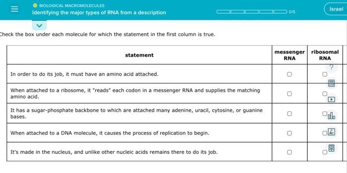 BIOLOGICAL MACROMOLECULES
Identifying the major types of RNA from a description
Check the box under each molecule for which the statement in the first column is true.
statement
In order to do its job, it must have an amino acid attached.
When attached to a ribosome, it "reads" each codon in a messenger RNA and supplies the matching
amino acid.
It has a sugar-phosphate backbone to which are attached many adenine, uracil, cytosine, or guanine
bases.
When attached to a DNA molecule, it causes the process of replication to begin.
It's made in the nucleus, and unlike other nucleic acids remains there to do its job.
0/5
messenger ribosomal
RNA
RNA
0
Israel
0
▸
Odlo
Ar
BA