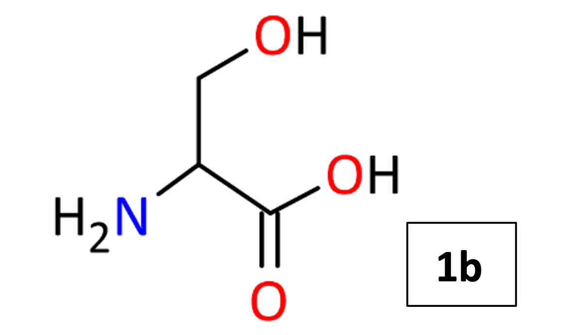 H₂N
ОН
О
ОН
1b