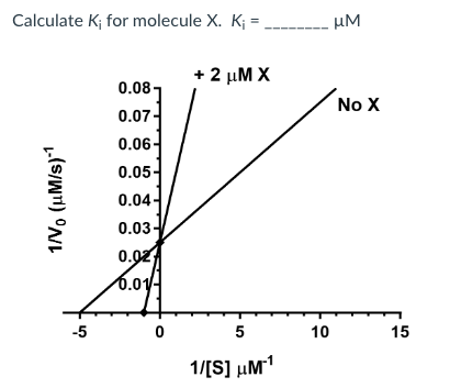 Calculate K; for molecule X. K; =
1/V, (μM/s)-¹
-5
0.08-
0.07-
0.06-
0.05-
0.04-
0.03-
0.02
0.01-
0
+ 2 μM X
5
1/[S] μM™¹
μM
10
No X
15