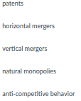 patents
horizontal mergers
vertical mergers
natural monopolies
anti-competitive behavior
