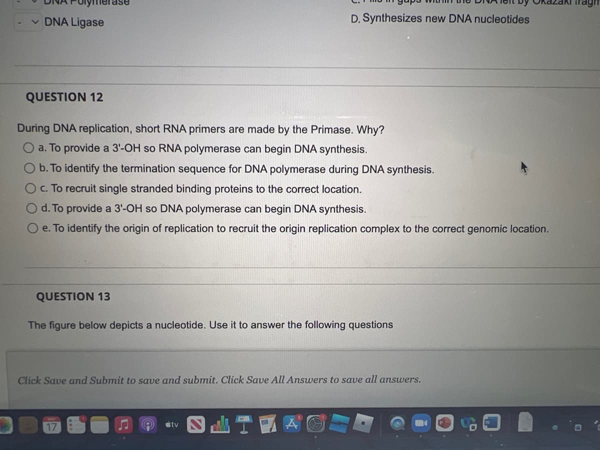 ase
v DNA Ligase
D. Synthesizes new DNA nucleotides
QUESTION 12
During DNA replication, short RNA primers are made by the Primase. Why?
a. To provide a 3'-OH so RNA polymerase can begin DNA synthesis.
O b. To identify the termination sequence for DNA polymerase during DNA synthesis.
Oc. To recruit single stranded binding proteins to the correct location.
d. To provide a 3'-OH so DNA polymerase can begin DNA synthesis.
e. To identify the origin of replication to recruit the origin replication complex to the correct genomic location.
QUESTION 13
The figure below depicts a nucleotide. Use it to answer the following questions
Click Save and Submit to save and submit. Click Save All Answers to save all answers.
stv
17
