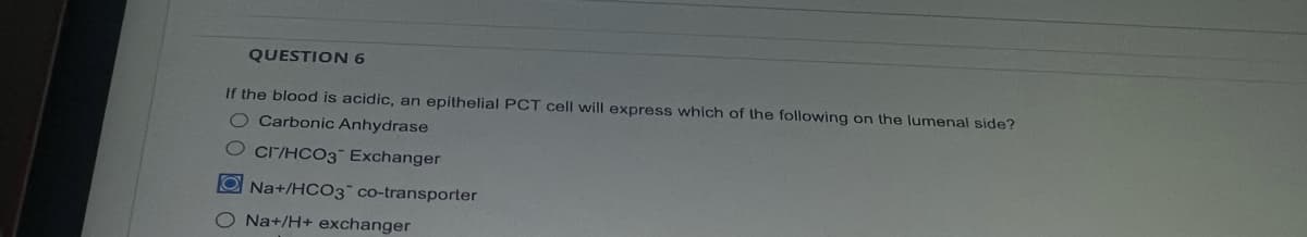 QUESTION 6
If the blood is acidic, an epithelial PCT cell will express which of the following on the lumenal side?
O Carbonic Anhydrase
CI/HCO3 Exchanger
ONa+/HCO3 co-transporter
O Na+/H+ exchanger