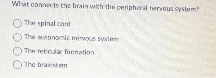 What connects the brain with the peripheral nervous system?
The spinal cord
The autonomic nervous system
The reticular formation
The brainstem