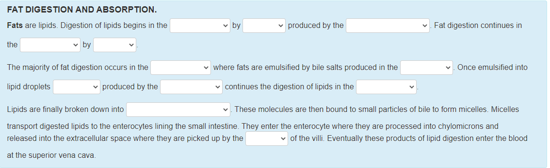 FAT DIGESTION AND ABSORPTION.
Fats are lipids. Digestion of lipids begins in the
v by
produced by the
v. Fat digestion continues in
the
v by
The majority of fat digestion occurs in the
where fats are emulsified by bile salts produced in the
Once emulsified into
lipid droplets
v produced by the
v continues the digestion of lipids in the
Lipids are finally broken down into
v. These molecules are then bound to small particles of bile to form micelles. Micelles
transport digested lipids to the enterocytes lining the small intestine. They enter the enterocyte where they are processed into chylomicrons and
released into the extracellular space where they are picked up by the
v of the villi. Eventually these products of lipid digestion enter the blood
at the superior vena cava.
