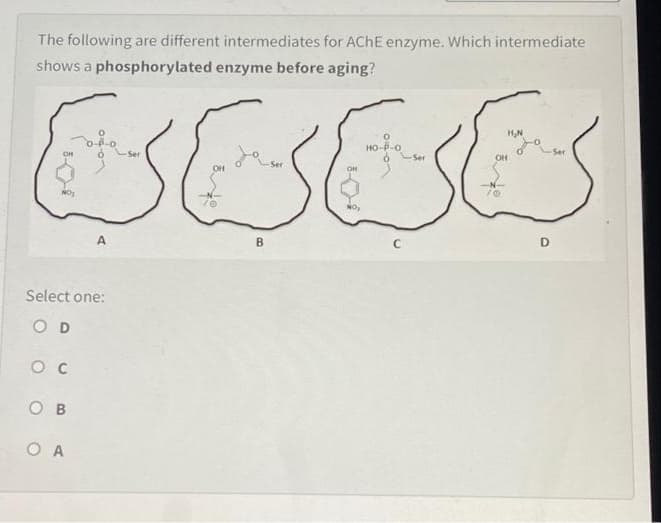 The following are different intermediates for ACHE enzyme. Which intermediate
shows a phosphorylated enzyme before aging?
SESES
HN
HO-P-O
Ser
OH
-Ser
Ser
OH
Ser
A
B
D
Select one:
O D
о в
O A
