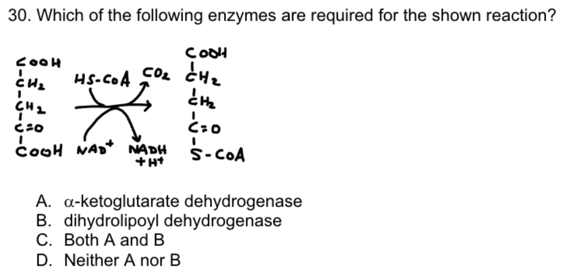 30. Which of the following enzymes are required for the shown reaction?
COOH
CH₂
CH₂
C=O
HS-COA
Cool
CON CH
COOH NAD+ NADH
+H+
CH₂
I
C=0
I
S-COA
A. a-ketoglutarate dehydrogenase
B. dihydrolipoyl dehydrogenase
C. Both A and B
D. Neither A nor B