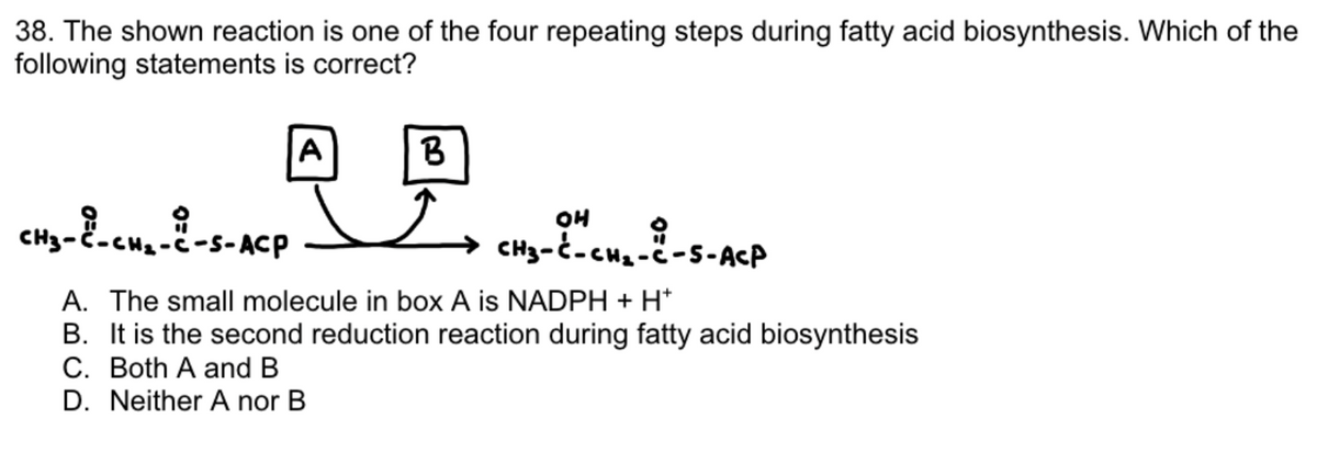 **Fatty Acid Biosynthesis**

**Question 38:**
The shown reaction is one of the four repeating steps during fatty acid biosynthesis. Which of the following statements is correct?

**Diagrams and Reaction:**
The diagram depicts a chemical reaction where a molecule is transformed into another with the involvement of two small molecules labeled as A and B. The initial and final molecular structures are given as follows:

- **Initial Structure:** CH₃–C=O–CH₂–C=O–S–ACP
- **Final Structure:** CH₃–C–OH–CH₂–C=O–S–ACP

The equation can be summarized with the chemical structures:
- Initial molecule + A → Final molecule + B

**Options:**
A. The small molecule in box A is NADPH + H⁺
B. It is the second reduction reaction during fatty acid biosynthesis
C. Both A and B
D. Neither A nor B

**Explanation of Diagrams:**
- The initial molecule is a chain with acetyl groups (C=O) linked to ACP (Acyl Carrier Protein).
- The transformation shows a reduction where one of the acetyl groups (C=O) is reduced to an alcohol group (C–OH).
- ACP serves as a swinging arm to facilitate the fatty acid biosynthesis process, holding and transferring intermediates.

In conclusion, the correct answer must be determined based on the knowledge of fatty acid biosynthesis steps and the identification of the small molecules involved in this transformation.