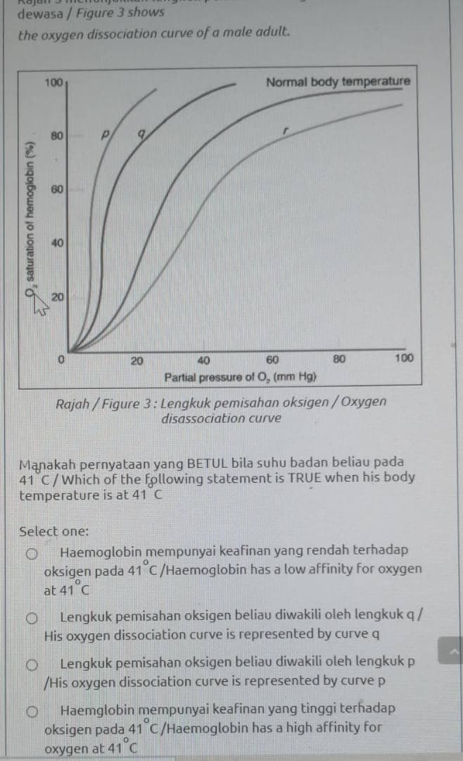 dewasa / Figure 3 shows
the oxygen dissociation curve of a male adult.
100
Normal body temperature
80
60
40
20
20
40
60
80
100
Partial pressure of O, (mm Hg)
Rajah / Figure 3 : Lengkuk pemisahan oksigen /Oxygen
disassociation curve
Manakah pernyataan yang BETUL bila suhu badan beliau pada
41 C/Which of the following statement is TRUE when his body
temperature is at 41 C
Select one:
Haemoglobin mempunyai keafinan yang rendah terhadap
oksigen pada 41 C/Haemoglobin has a low affinity for oxygen
at 41 C
Lengkuk pemisahan oksigen beliau diwakili oleh lengkuk q/
His oxygen dissociation curve is represented by curve q
Lengkuk pemisahan oksigen beliau diwakili oleh lengkuk p
/His oxygen dissociation curve is represented by curve p
Haemglobin mempunyai keafinan yang tinggi terhadap
oksigen pada 41 C/Haemoglobin has a high affinity for
oxygen at 41°C
9, saturation of hemoglobin (%)
