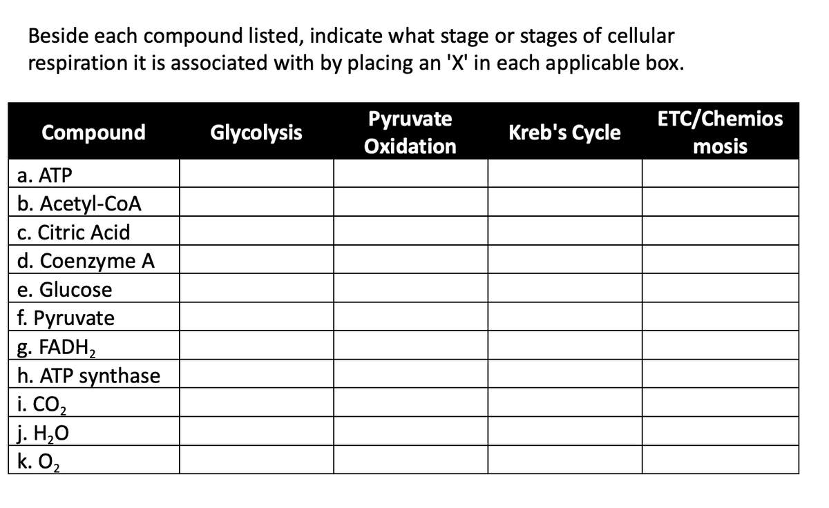 Beside each compound listed, indicate what stage or stages of cellular
respiration it is associated with by placing an 'X' in each applicable box.
Compound
a. ATP
b. Acetyl-CoA
c. Citric Acid
d. Coenzyme A
e. Glucose
f. Pyruvate
g. FADH₂
h. ATP synthase
i. CO₂
|j. H₂O
k. 0₂
Glycolysis
Pyruvate
Oxidation
Kreb's Cycle
ETC/Chemios
mosis