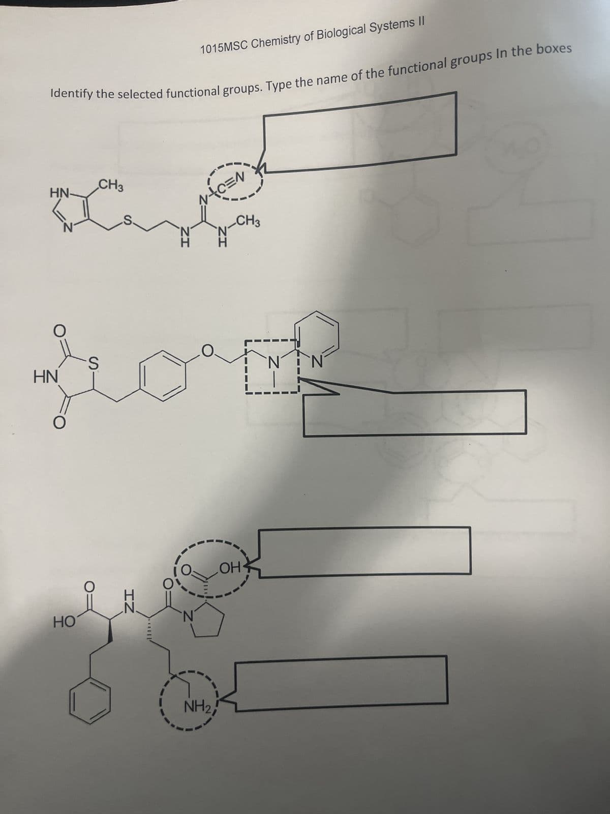 Identify the selected functional groups. Type the name of the functional groups In the boxes
HN-
HN
CH3
HO
S
IZ
1015MSC Chemistry of Biological Systems II
NACEN
ZI
jort
N
111
IZ
NH₂,
CH3
OH
N