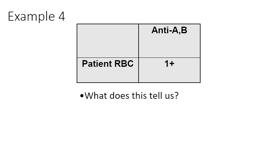 Example 4
Patient RBC
Anti-A,B
1+
What does this tell us?