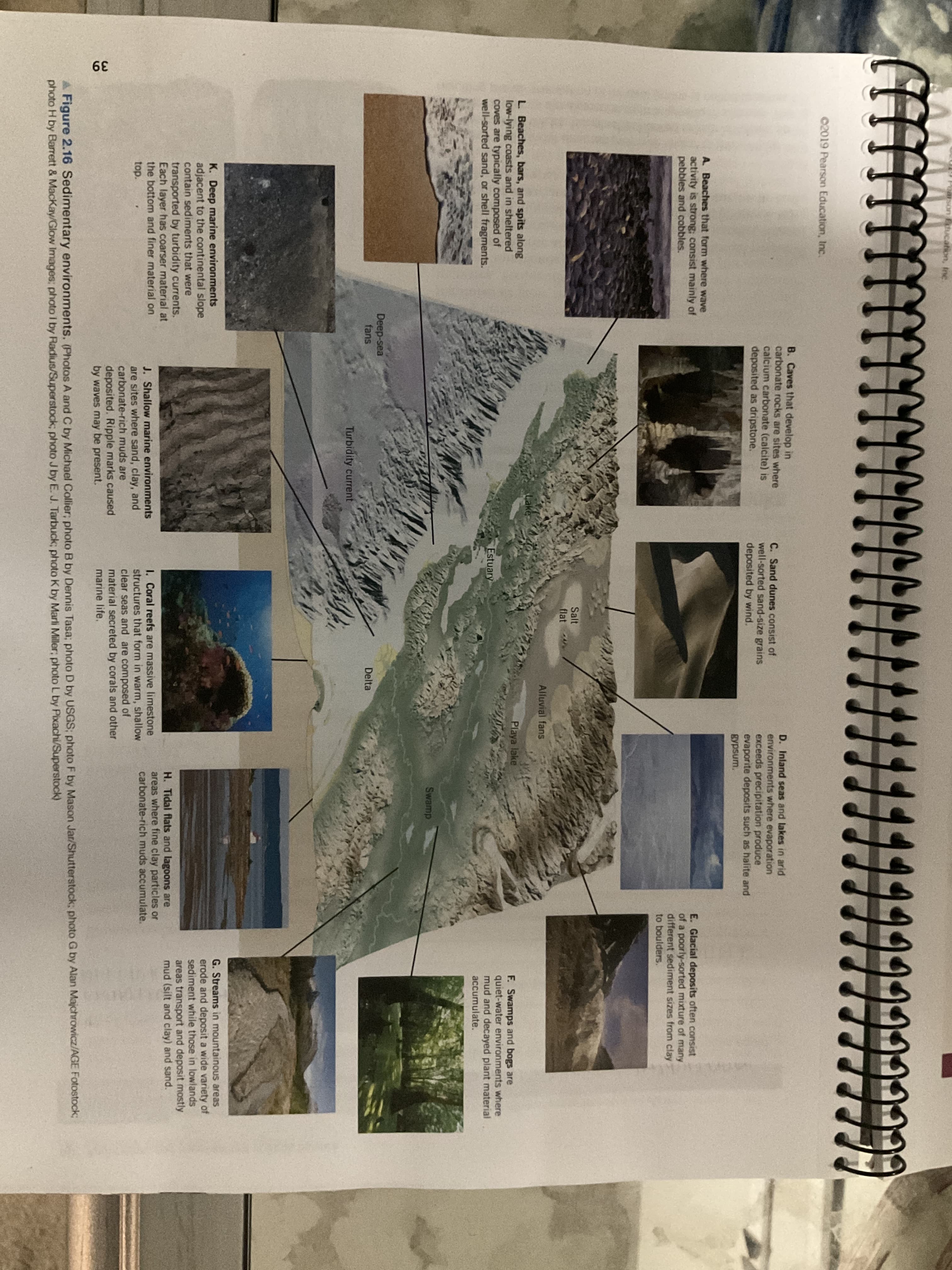 .ndg uose
(f
02019 Pearson Education, Inc.
B. Caves that develop in
carbonate rocks are sites where
calcium carbonate (calcite) is
deposited as dripstone.
C. Sand dunes consist of
well-sorted sand-size grains
deposited by wind.
D. Inland seas and lakes in arid
environments where evaporation
exceeds precipitation produce
evaporite deposits such as halite and
gypsum.
A. Beaches that form where wave
activity is strong; consist mainly of
pebbles and cobbles.
E. Glacial deposits often consist
of a poorly-sorted mixture of many
different sediment sizes from clay
to boulders.
Salt
flat
Alluvial fans
Lake
L Beaches, bars, and spits along
low-lying coasts and in sheltered
coves are typically composed of
well-sorted sand, or shell fragments.
Playa lake
F. Swamps and bogs are
quiet-water environments where
mud and decayed plant material
accumulate.
Estuary
Swamp
Deep-sea
fans
Delta
Turbidity current
K. Deep marine environments
adjacent to the continental slope
contain sediments that were
G. Streams in mountainous areas
erode and deposit a wide variety of
sediment while those in lowlands
areas transport and deposit mostly
mud (silt and clay) and sand.
transported by turbidity currents.
Each layer has coarser material at
the bottom and finer material on
H. Tidal flats and lagoons are
areas where fine clay particles or
carbonate-rich muds accumulate.
J. Shallow marine environments
are sites where sand, clay, and
carbonate-rich muds are
deposited. Ripple marks caused
by waves may be present.
1. Coral reefs are massive limestone
structures that form in warm, shallow
clear seas and are composed of
material secreted by corals and other
marine life.
top.
A Figure 2.16 Sedimentary environments. (Photos A and C by Michael Collier; photo B by Dennis Tasa; photo D by USGS; photo F by Mason Jar/Shutterstock; photo G by Alan Majchrowicz/AGE Fotostock3B
photo H by Barrett & MacKay/Glow Images: photo I by Radius/Superstock; photo J by E. J. Tarbuck; photo K by Marli Miller; photo L by Pixachi/Superstock)
39
