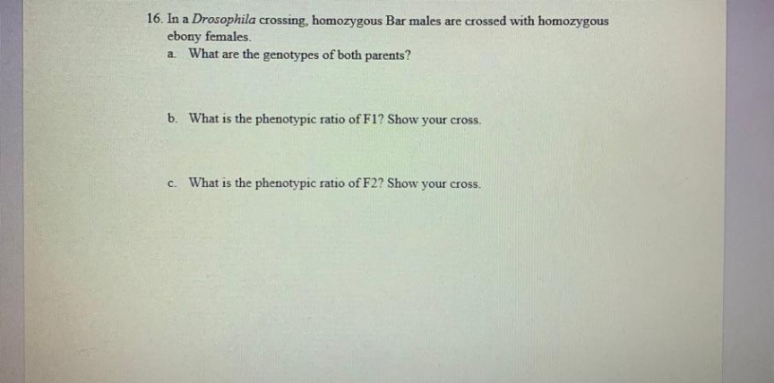 16. In a Drosophila crossing, homozygous Bar males are crossed with homozygous
ebony females.
a. What are the genotypes of both parents?
b. What is the phenotypic ratio of F1? Show your cross.
c. What is the phenotypic ratio of F2? Show your cross.