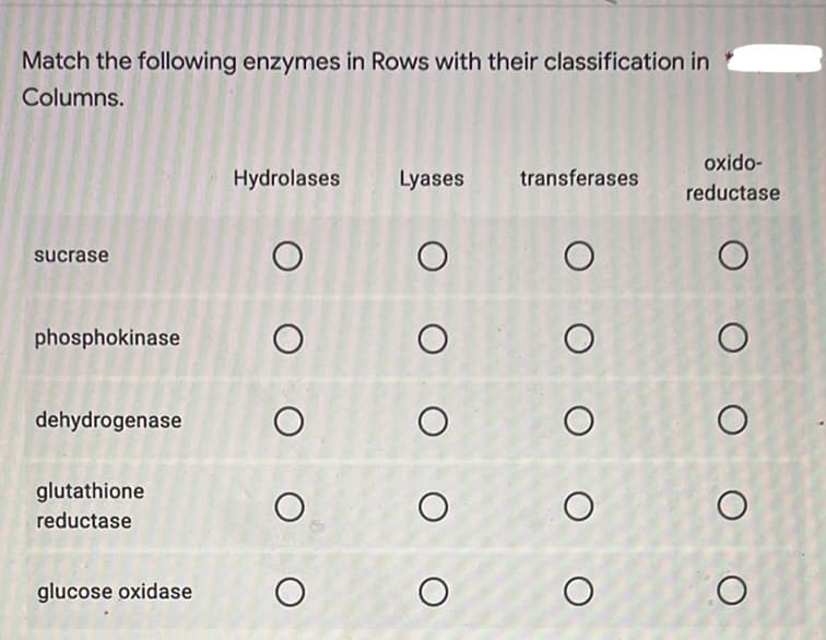 Match the following enzymes in Rows with their classification in
Columns.
sucrase
phosphokinase
dehydrogenase
glutathione
reductase
glucose oxidase
Hydrolases
Ο Ο Ο
O
O
O
Lyases transferases
O
Ο Ο Ο Ο
O
Ο Ο Ο Ο Ο
O
O
O
oxido-
reductase
O
Ο Ο Ο Ο Ο
O
O