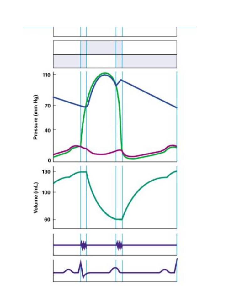 110
70
40
60
Volume (mL)
Pressure (mm Hg)
