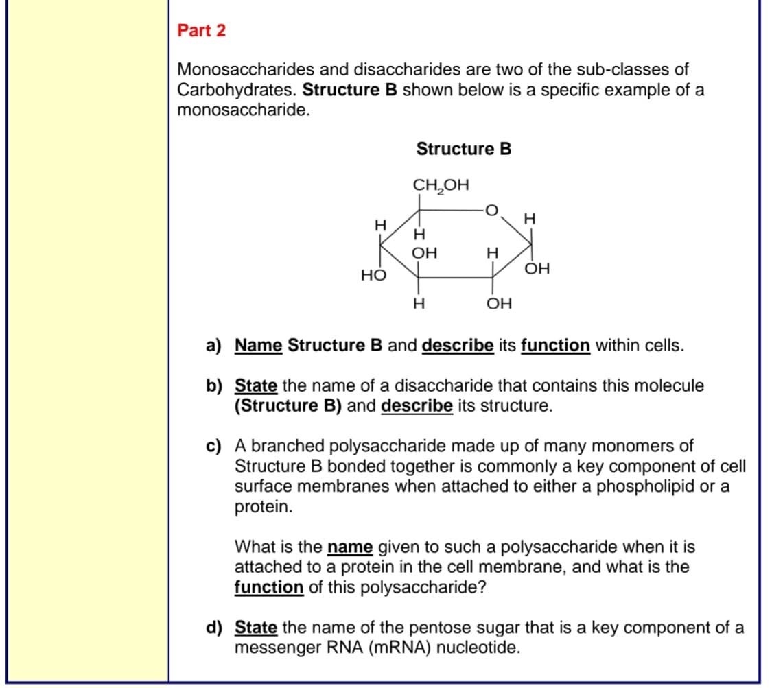 Part 2
Monosaccharides and disaccharides are two of the sub-classes of
Carbohydrates. Structure B shown below is a specific example of a
monosaccharide.
H
HO
Structure B
CH₂OH
H
OH
H
H
OH
H
OH
a) Name Structure B and describe its function within cells.
b) State the name of a disaccharide that contains this molecule
(Structure B) and describe its structure.
c) A branched polysaccharide made up of many monomers of
Structure bonded together is commonly a key component of cell
surface membranes when attached to either a phospholipid or a
protein.
What is the name given to such a polysaccharide when it is
attached to a protein in the cell membrane, and what is the
function of this polysaccharide?
d) State the name of the pentose sugar that is a key component of a
messenger RNA (mRNA) nucleotide.