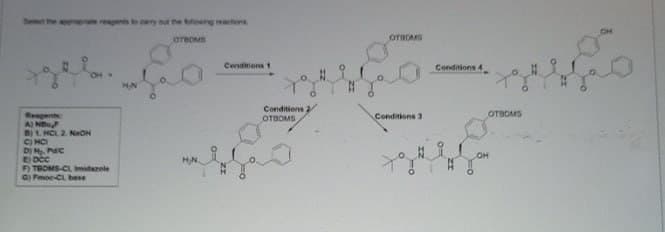 the appropriate reagents to carry out the folowing reactions
Reagents
A) N
B) 1. HCL 2. NON
CHCI
D) M₂. PC
EDCC
F) TROMS-CL Imidazole
G) Fmoc-Cl, base
MN
отвом
Conditions 1
отвом
Conditions 4
Conditions ;
OTBOMS
Conditions 3
OTBOMS