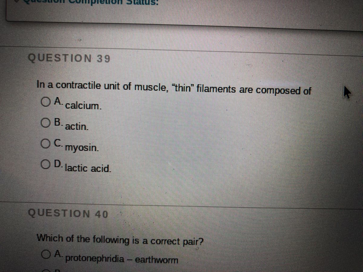 QUESTION 39
In a contractile unit of muscle, "thin" filaments are composed of
O A. calcium.
ОВ actin.
B.
OC myosin.
OD lactic acid.
QUESTION 40
Which of the following is a correct pair?
O A.
protonephridia – earthworm
