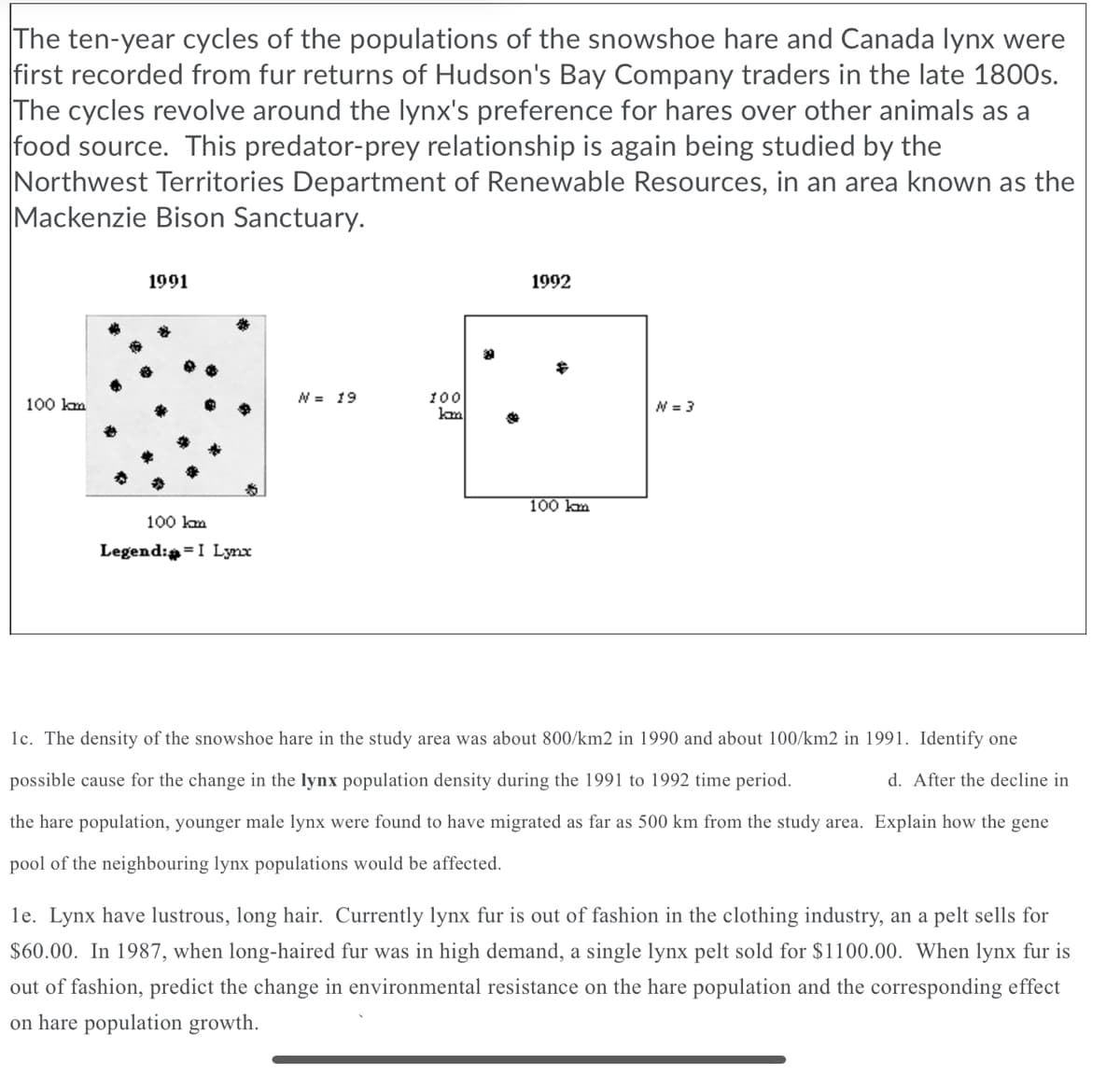 The ten-year cycles of the populations of the snowshoe hare and Canada lynx were
first recorded from fur returns of Hudson's Bay Company traders in the late 1800s.
The cycles revolve around the lynx's preference for hares over other animals as a
food source. This predator-prey relationship is again being studied by the
Northwest Territories Department of Renewable Resources, in an area known as the
Mackenzie Bison Sanctuary.
1991
1992
N = 19
100
100 km
N = 3
100 km
100 km
Legend:a=I Lynx
1c. The density of the snowshoe hare in the study area was about 800/km2 in 1990 and about 100/km2 in 1991. Identify one
possible cause for the change in the lynx population density during the 1991 to 1992 time period.
d. After the decline in
the hare population, younger male lynx were found to have migrated as far as 500 km from the study area. Explain how the gene
pool of the neighbouring lynx populations would be affected.
le. Lynx have lustrous, long hair. Currently lynx fur is out of fashion in the clothing industry, an a pelt sells for
$60.00. In 1987, when long-haired fur was in high demand, a single lynx pelt sold for $1100.00. When lynx fur is
out of fashion, predict the change in environmental resistance on the hare population and the corresponding effect
on hare population growth.
