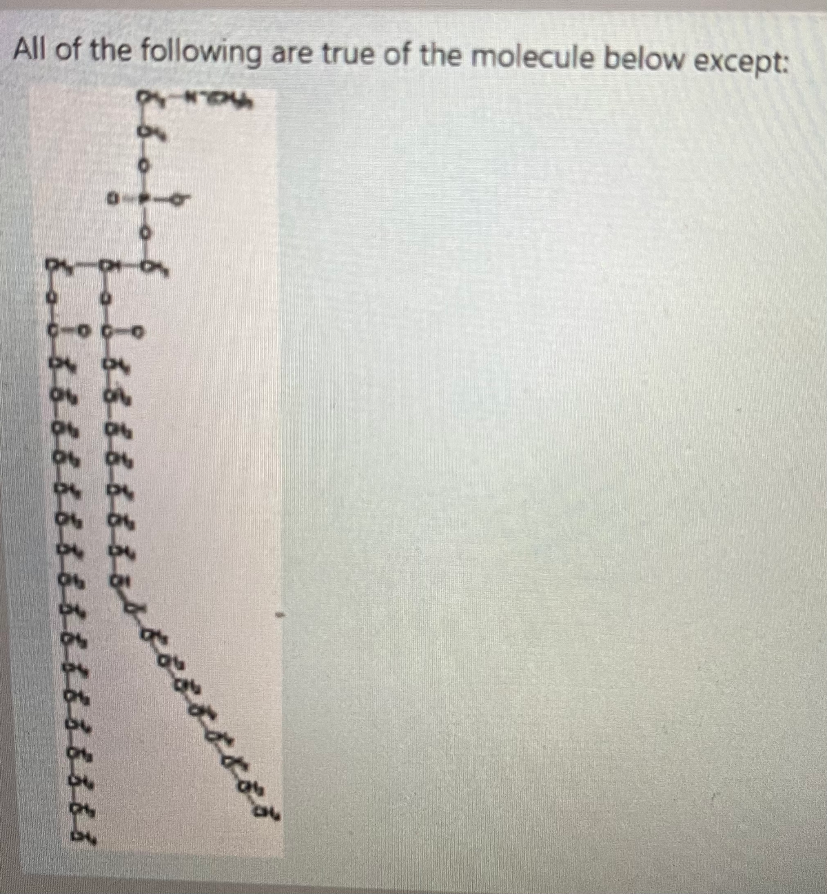 All of the following are true of the molecule below except:
とos88888
8888
