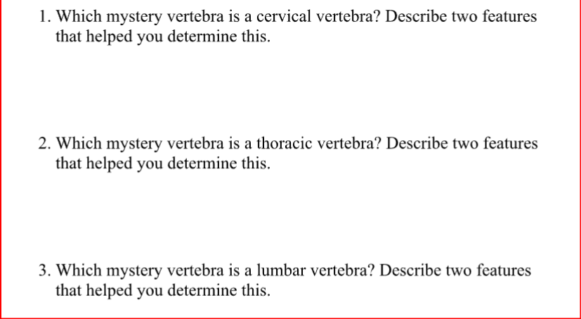 1. Which mystery vertebra is a cervical vertebra? Describe two features
that helped you determine this.
2. Which mystery vertebra is a thoracic vertebra? Describe two features
that helped you determine this.
3. Which mystery vertebra is a lumbar vertebra? Describe two features
that helped you determine this.