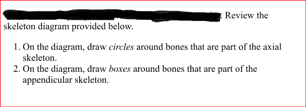 Review the
skeleton diagram provided below.
1. On the diagram, draw circles around bones that are part of the axial
skeleton.
2. On the diagram, draw boxes around bones that are part of the
appendicular skeleton.