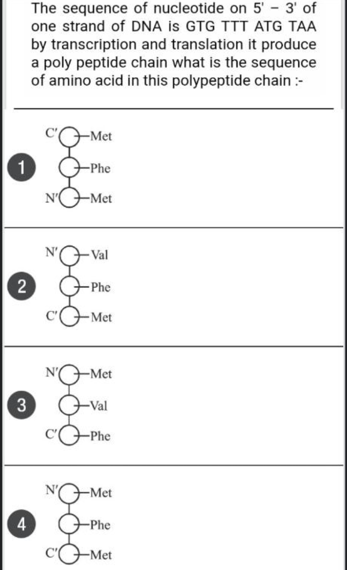 The sequence of nucleotide on 5' - 3' of
one strand of DNA is GTG TTT ATG TAA
by transcription and translation it produce
a poly peptide chain what is the sequence
of amino acid in this polypeptide chain :-
-Met
1
-Phe
-Met
Val
Phe
Met
-Met
3
Val
Phe
-Met
4
-Phe
-Met
