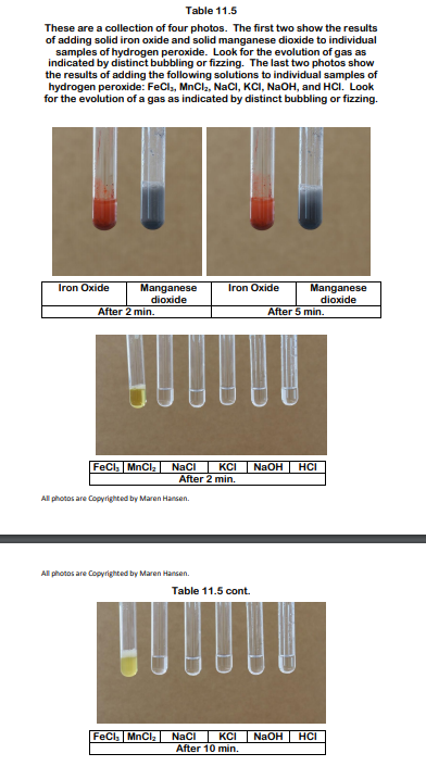 Table 11.5
These are a collection of four photos. The first two show the results
of adding solid iron oxide and solid manganese dioxide to individual
samples of hydrogen peroxide. Look for the evolution of gas as
indicated by distinct bubbling or fizzing. The last two photos show
the results of adding the following solutions to individual samples of
hydrogen peroxide: FeCl,, MnCl2, NaCI, KCI, NaOH, and HCI. Look
for the evolution of a gas as indicated by distinct bubbling or fizzing.
Iron Oxide
Manganese
dioxide
Oxide
Manganese
dioxide
After 2 min.
All photos ane Copyrighted by Maren Hansen.
All photos ane Copyrighted by Maren Hansen.
Table 11.5 cont.
NaOHHCI
